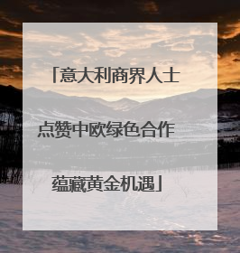 意大利商界人士点赞中欧绿色合作蕴藏黄金机遇