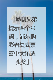 感谢兄弟提示两个号码，浦东购彩者复式票喜中大乐透头奖