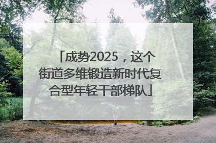 成势2025，这个街道多维锻造新时代复合型年轻干部梯队