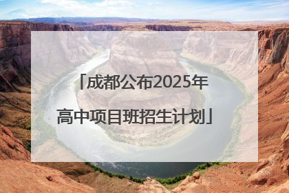 成都公布2025年高中项目班招生计划