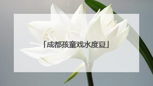 成都孩童戏水度夏