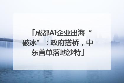 成都AI企业出海“破冰”：政府搭桥，中东首单落地沙特