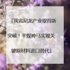 我省尼龙产业取得新突破！平煤神马实现关键原材料进口替代