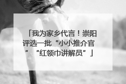 我为家乡代言！崇阳评选一批“小小推介官”“红领巾讲解员”