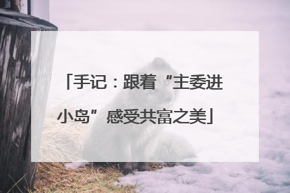 手记：跟着“主委进小岛”感受共富之美