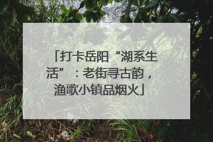打卡岳阳“湖系生活”：老街寻古韵，渔歌小镇品烟火