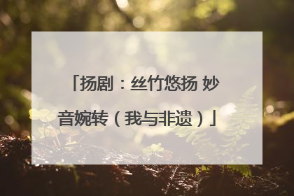 扬剧：丝竹悠扬 妙音婉转（我与非遗）
