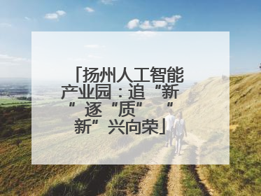 扬州人工智能产业园：追“新”逐“质” “新”兴向荣