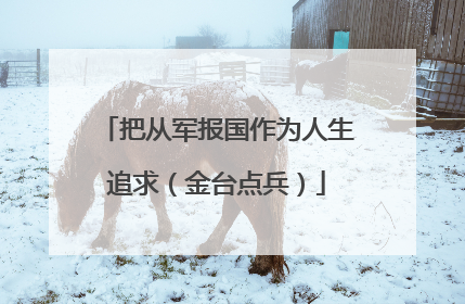 把从军报国作为人生追求（金台点兵）