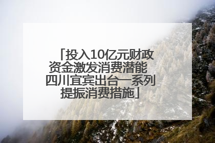 投入10亿元财政资金激发消费潜能 四川宜宾出台一系列提振消费措施