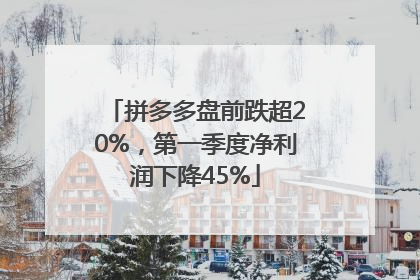 拼多多盘前跌超20%，第一季度净利润下降45%