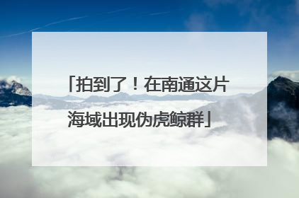 拍到了！在南通这片海域出现伪虎鲸群