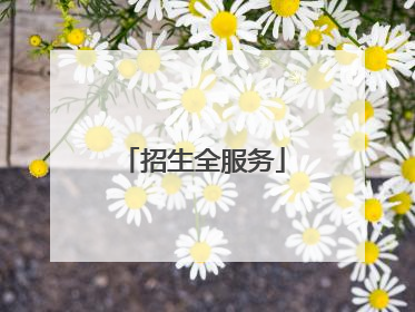 招生全服务