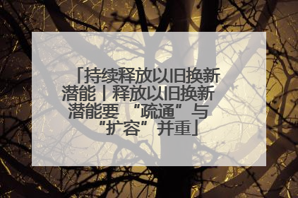 持续释放以旧换新潜能丨释放以旧换新潜能要 “疏通”与“扩容”并重
