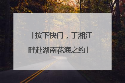 按下快门，于湘江畔赴湖南花海之约