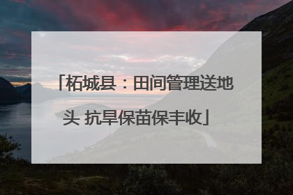 柘城县：田间管理送地头 抗旱保苗保丰收