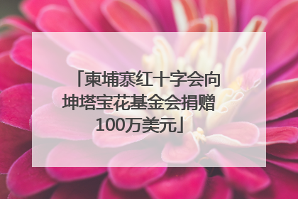 柬埔寨红十字会向坤塔宝花基金会捐赠100万美元