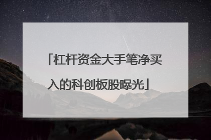 杠杆资金大手笔净买入的科创板股曝光