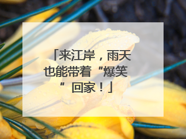 来江岸，雨天也能带着“爆笑”回家！