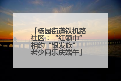 杨园街道铁机路社区：“红领巾”相约“银发族” 老少同乐庆端午