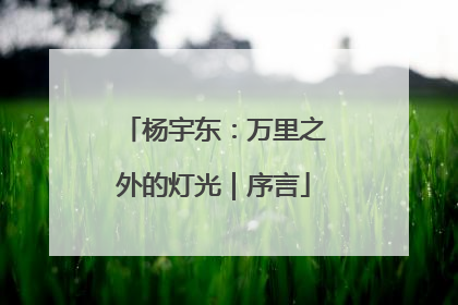 杨宇东：万里之外的灯光｜序言