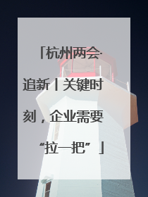 杭州两会·追新丨关键时刻，企业需要“拉一把”