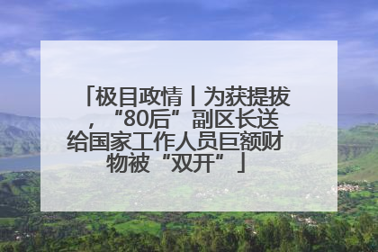 极目政情丨为获提拔，“80后”副区长送给国家工作人员巨额财物被“双开”
