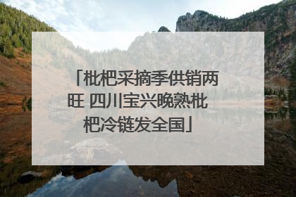 枇杷采摘季供销两旺 四川宝兴晚熟枇杷冷链发全国