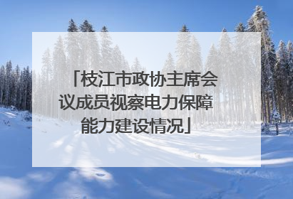 枝江市政协主席会议成员视察电力保障能力建设情况