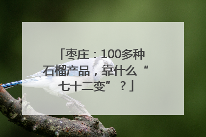 枣庄：100多种石榴产品，靠什么“七十二变”？