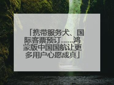携带服务犬、国际客票预订……鸿蒙版中国国航让更多用户心愿成真