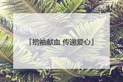 撸袖献血 传递爱心