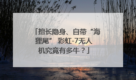 擅长隐身、自带“海狸尾” 彩虹-7无人机究竟有多牛？