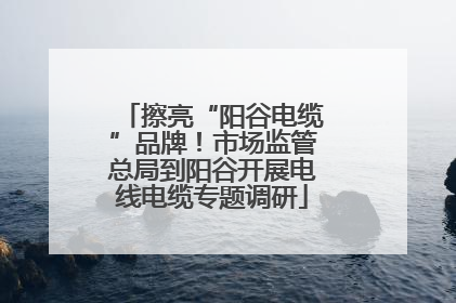 擦亮“阳谷电缆”品牌！市场监管总局到阳谷开展电线电缆专题调研