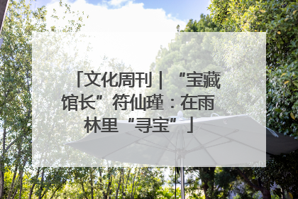 文化周刊｜“宝藏馆长”符仙瑾：在雨林里“寻宝”