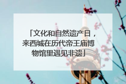 文化和自然遗产日，来西城在历代帝王庙博物馆里遇见非遗