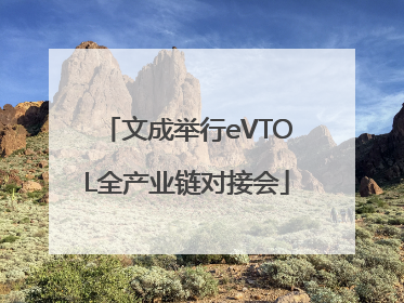文成举行eVTOL全产业链对接会