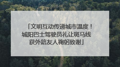 文明互动传递城市温度！城阳巴士驾驶员礼让斑马线获外籍友人鞠躬致谢