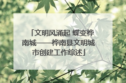 文明风涌起 蝶变桦南城——桦南县文明城市创建工作综述
