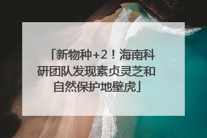新物种+2！海南科研团队发现素贞灵芝和自然保护地壁虎
