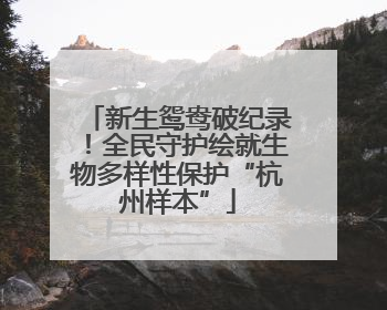 新生鸳鸯破纪录！全民守护绘就生物多样性保护“杭州样本”