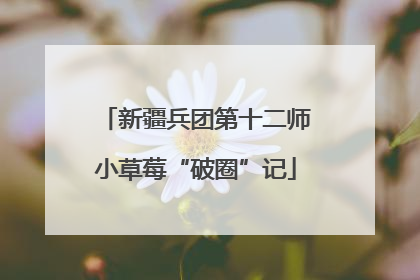 新疆兵团第十二师小草莓“破圈”记