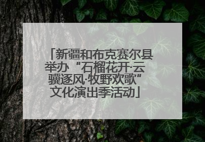 新疆和布克赛尔县举办“石榴花开·云骥逐风·牧野欢歌”文化演出季活动