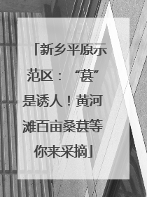 新乡平原示范区：“葚”是诱人！黄河滩百亩桑葚等你来采摘