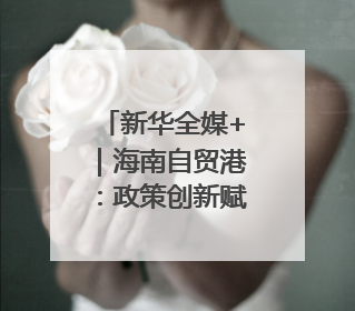 新华全媒+｜海南自贸港：政策创新赋能产业发展