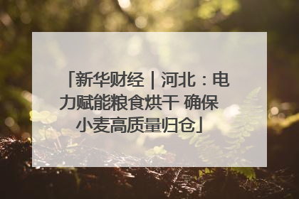 新华财经｜河北：电力赋能粮食烘干 确保小麦高质量归仓
