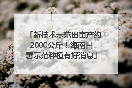 新技术示范田亩产约2000公斤！海南甘薯示范种植有好消息