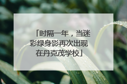 时隔一年，当迷彩绿身影再次出现在丹克茂学校