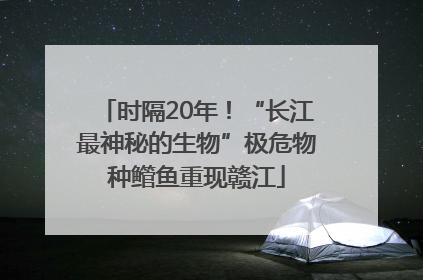 时隔20年！“长江最神秘的生物”极危物种鳤鱼重现赣江