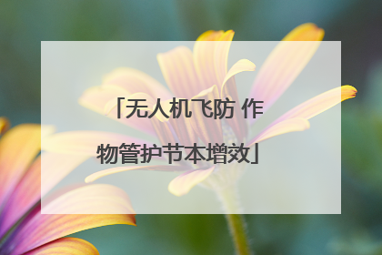 无人机飞防 作物管护节本增效